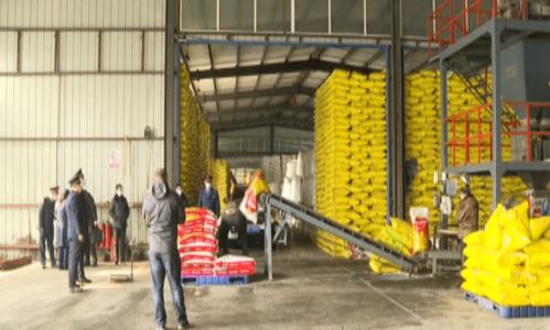 市場監管部門抽檢化肥保春耕，筑牢肥料生產質量防線